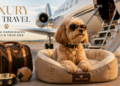 Luxury Dog Travel: The Complete Guide