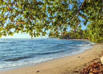 Amazing Beaches in Costa Rica You Need to Know