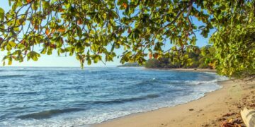 Amazing Beaches in Costa Rica You Need to Know