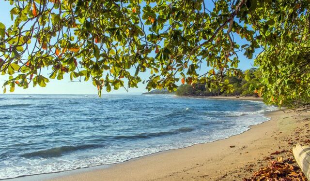 Amazing Beaches in Costa Rica You Need to Know