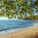 Amazing Beaches in Costa Rica You Need to Know