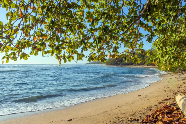 Amazing Beaches in Costa Rica You Need to Know