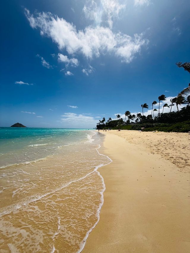 The Ultimate Guide to Stunning Oahu Beaches