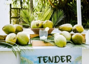 20 Amazing Filipino Drinks You Need to Try Today