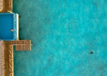 See the Biggest Swimming Pool in the World Now