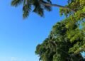 Unforgettable Things to Do in Seychelles You’ll Love