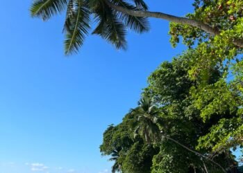 Unforgettable Things to Do in Seychelles You’ll Love