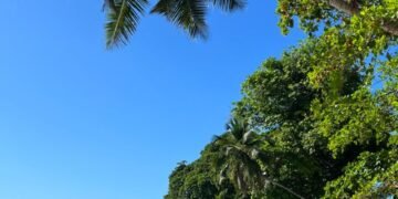Unforgettable Things to Do in Seychelles You’ll Love