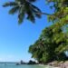 Unforgettable Things to Do in Seychelles You’ll Love