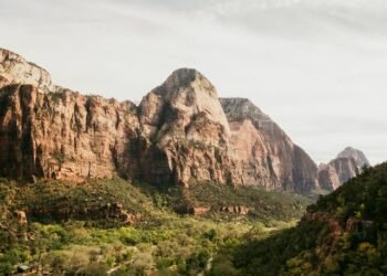 Zion National Park Winter: Best Tips You Need to Know