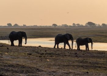 The Most Beautiful Places in Botswana