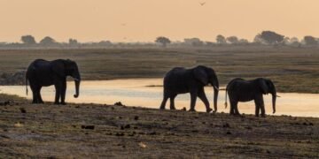 The Most Beautiful Places in Botswana