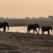 The Most Beautiful Places in Botswana