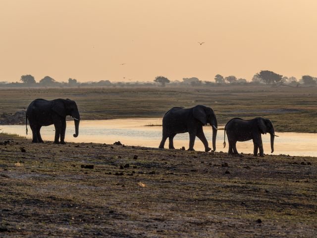 The Most Beautiful Places in Botswana