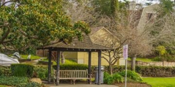Hancock Park Larchmont Village: Hidden Local Gems