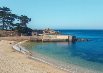 Population in Monterey CA: Amazing Facts You Must Know